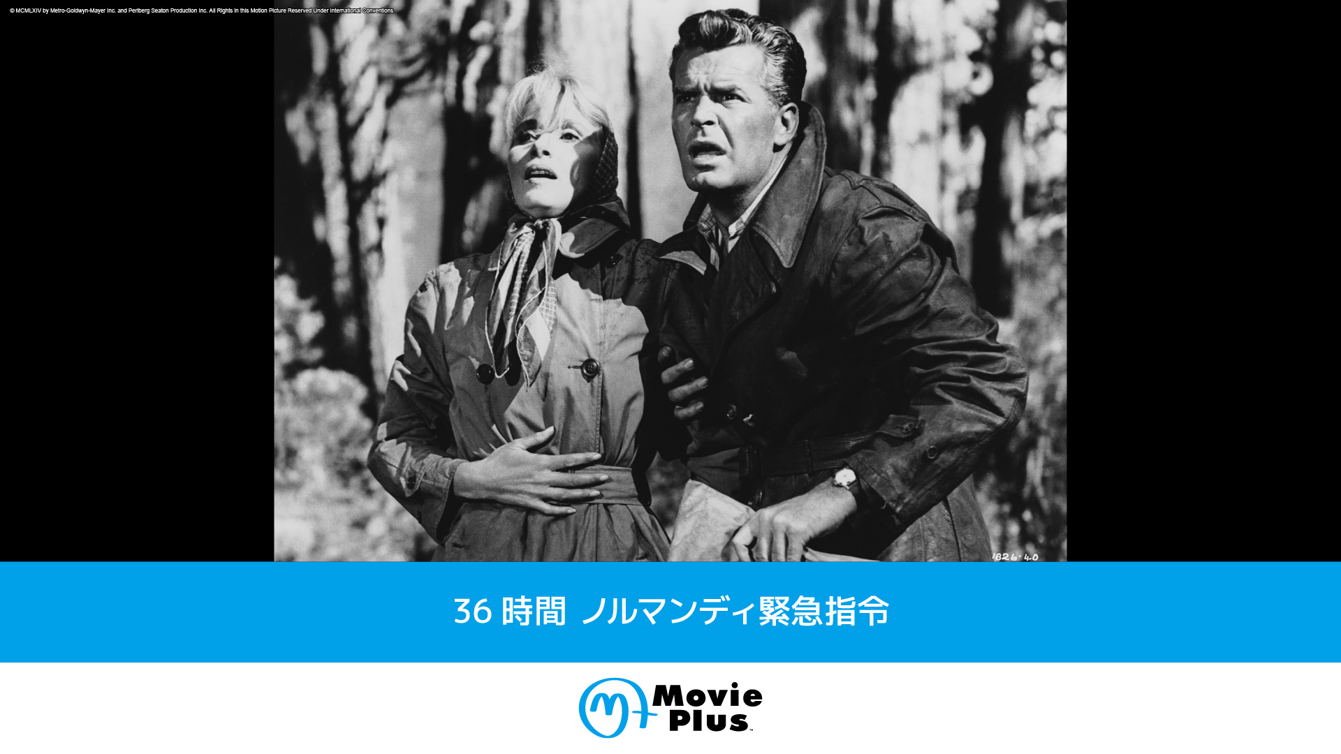 おかしなおかしな大追跡 | ワーナーブラザース・ディスカバリー・ジャパン